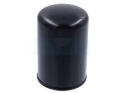 Filtre à Carburant Diesel Pour Moteur Lombardini (278217546) -Visserie et clavette de lame Soldes 2022 a2379b 1 big