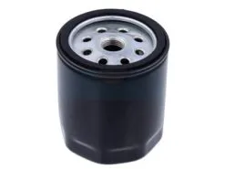 Filtre à Carburant Diesel Pour Moteur Lombardini (1073730073)