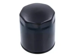 Filtre à Carburant Diesel Pour Moteur Ruggerini (17520) -Visserie et clavette de lame Soldes 2022 a2380b 1 big 1