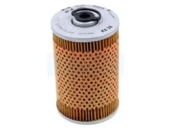 Filtre à Carburant Diesel Pour Moteur Lombardini