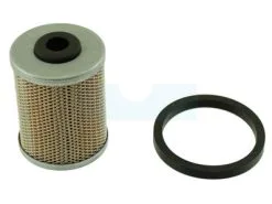 Filtre à Carburant Diesel Pour Moteur Ruggerini (17532)