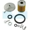 Filtre à Carburant Pour Moteur Lombardini (3730028)
